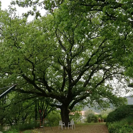 La Mentuccia