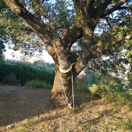 La Mentuccia Perúgia